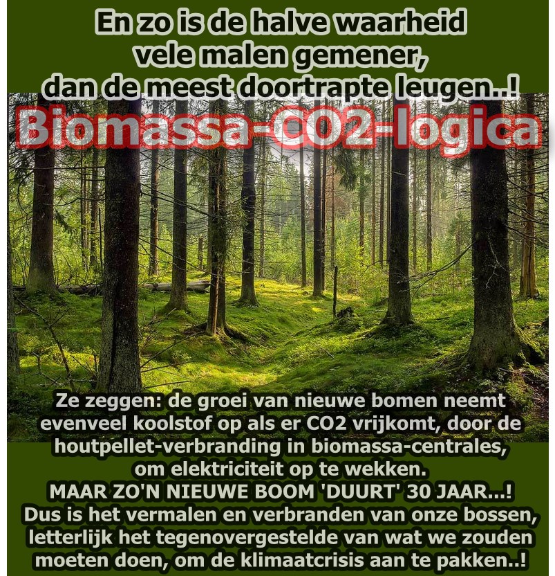 boomkap en houtstook biomassa is zeer slecht voor flora en fauna