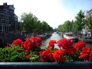 The bridge of love - I