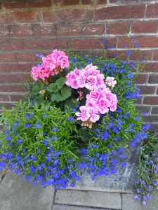 Sweet Flowers Amsterdam 2016