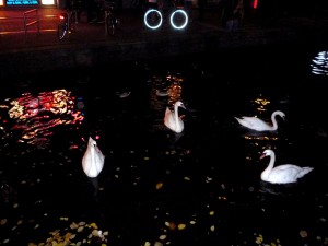 Amsterdam  Red District waters